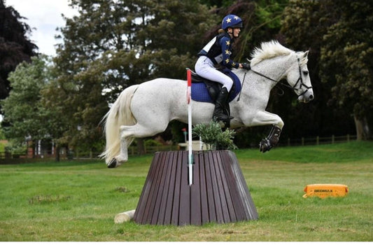 How the Equiseat Aid can help common rider problems