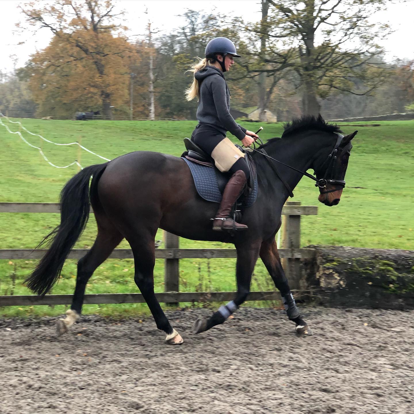 Horse rider wearing a beige Equiseat aid trotting a dark bay horse
