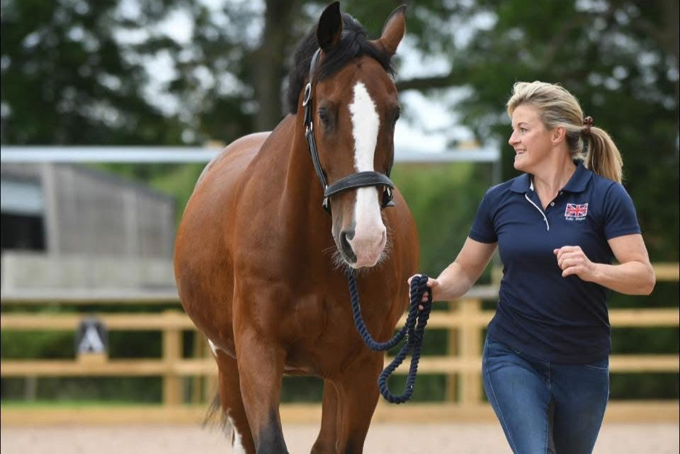 Sally Walker trotting up a bay horse