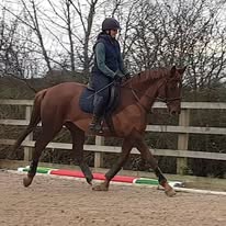 Area Specialist Leanne Heslop riding horse